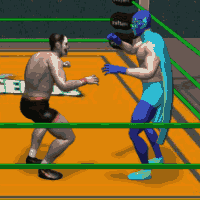 Wrestling Legends game