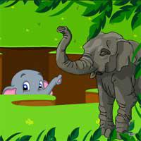 play Nsrescapegames-Elephant-Rescue