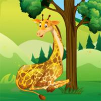 play Giraffe-Dice-Race-Lofgames