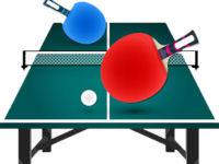play Table Tennis Pro