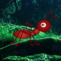play Jumbo Ant Forest Escape