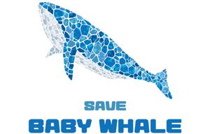 play Baby Whale
