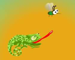 play Hungry Chameleon