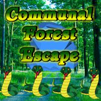 play Communal-Forest-Escape-Games2Rule