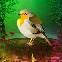 play Games2Rule Fantasy Forest Sparrow Escape