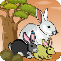 play Bunny Forest Escape1