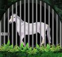 play G2R White Horse Trapped Escape
