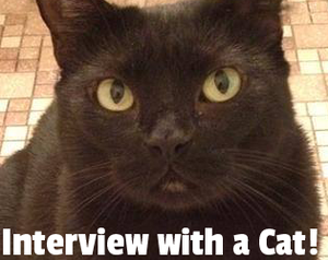 Interview With A Cat!