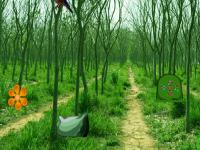 play King Frog Forest Escape
