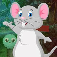 play Naughty Rat Rescue
