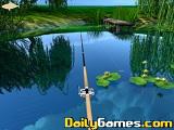 play Willow Pond Fishing