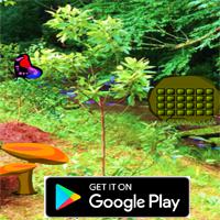 play Horticulture Forest Escape - Mobile App