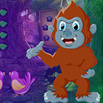 play Lunacy Monkey Rescue