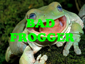 play Bad Frogger