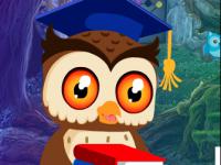 play Degree Owl Rescue