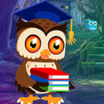 play Degree Owl Rescue Game