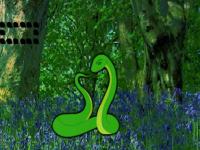 play Joshua Tree Forest Snake Escape