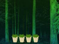 play Fireflies Night Forest Escape