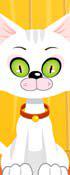 play Virtual Cat