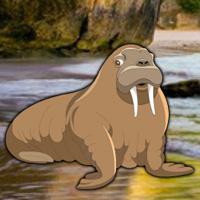 play Escape Game Save The Walrus