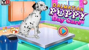play Dalmatian Puppy Day Care