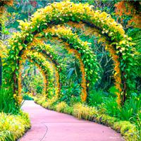 play City-Botanic-Garden-Escape