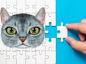 play Abyssinian Puzzle Challenge