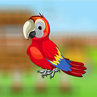 play Cute Parrot Escape