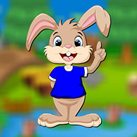play Happy Rabbit Escape