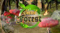 play 365 Secret Forest Escape