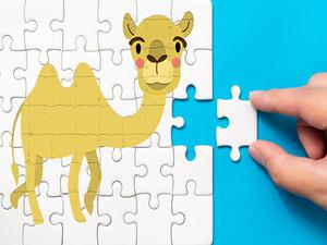 play Bactrian Camel Puzzle Challenge