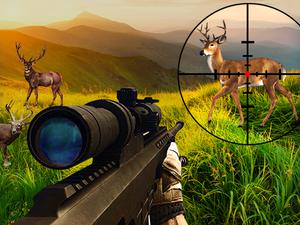 play Wild Hunter Sniper Buck