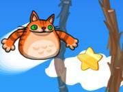 play Angry Cat