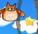 play Angry Cat