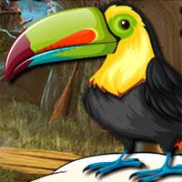 play Cute Toucan Bird Escape