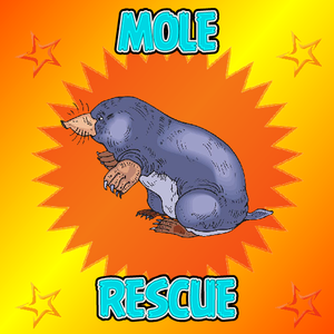 play Mole-Rescue-From-House
