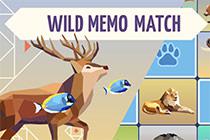 play Wild Memo Match