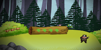 play 8B Bear Forest Escape