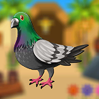 play Smart Pigeon Escape