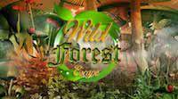 play 365 Wild Forest Escape