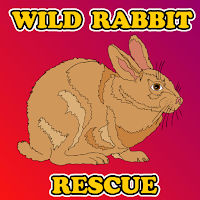 play G2J Wild Rabbit Rescue