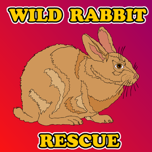 play Wild-Rabbit-Rescue