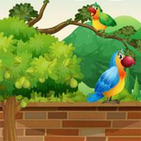 play Find-Birds-Names