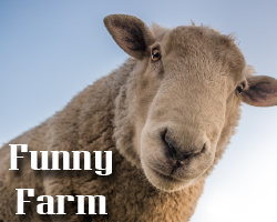 play Funny Farm