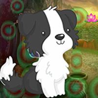 play Games4King Black And White Puppy Escape