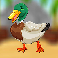 play Mallard Duck Escape