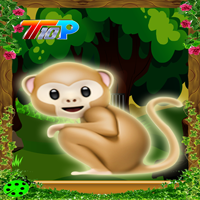 play Top10 Rescue The Monkey