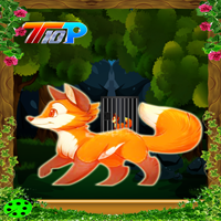 play Top10 Rescue The Fox