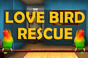 Love Bird Rescue