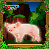 play Top10 Rescue The Pig